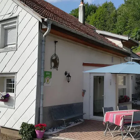 Appartamento Vosges Avec Terrasse, Parking, Et Wifi - Fr-1-589-690 *