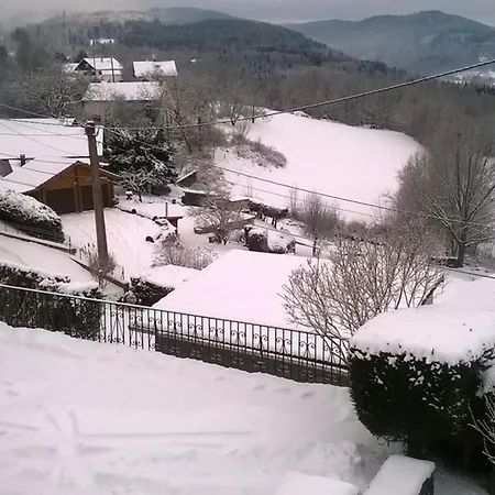 Apartment Vosges Avec Terrasse, Parking, Et Wifi - Fr-1-589-690