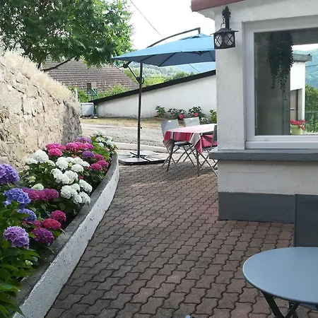 Vosges Avec Terrasse, Parking, Et Wifi - Fr-1-589-690 דירה *