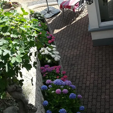Vosges Avec Terrasse, Parking, Et Wifi - Fr-1-589-690