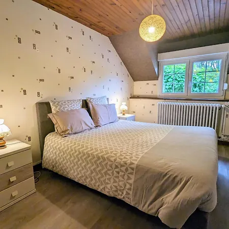 Appartamento Vosges Avec Terrasse, Parking, Et Wifi - Fr-1-589-690 *